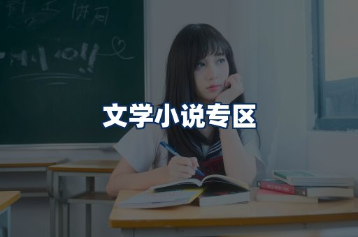 文学小说PDF展示